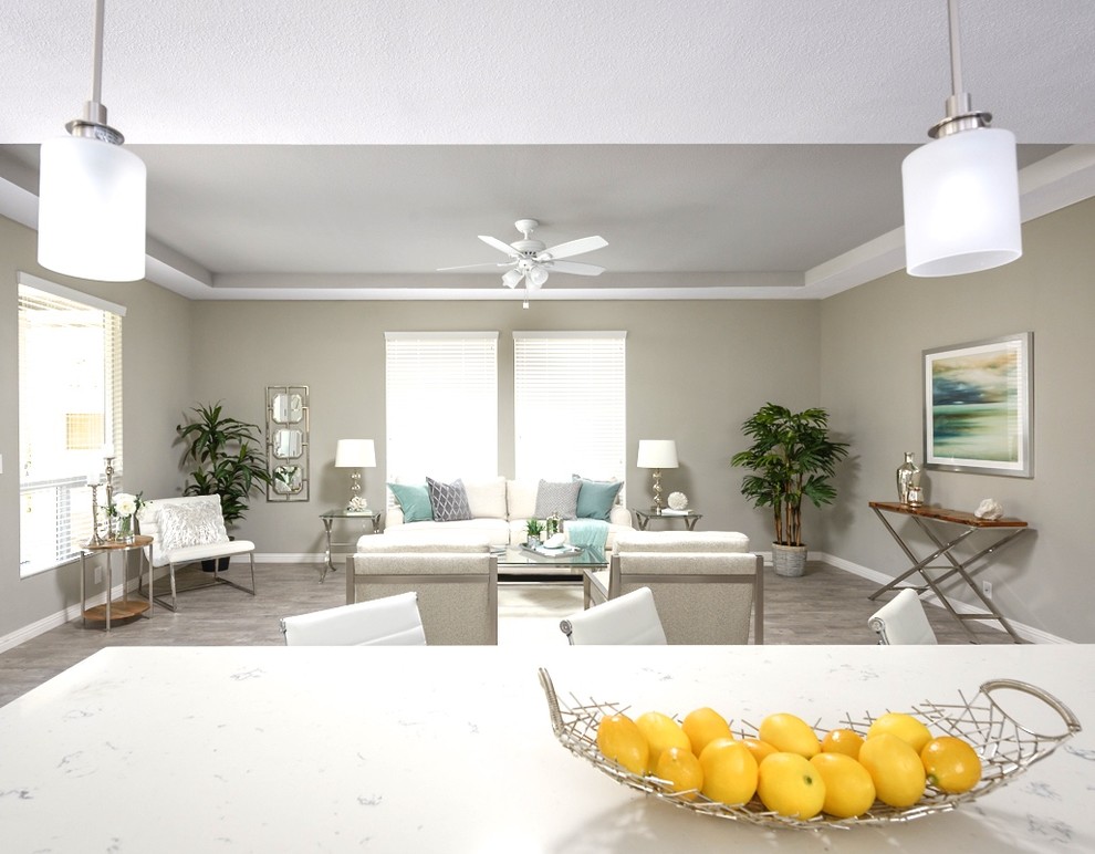 Contemporary Home Staging San Diego Transitional Living Room