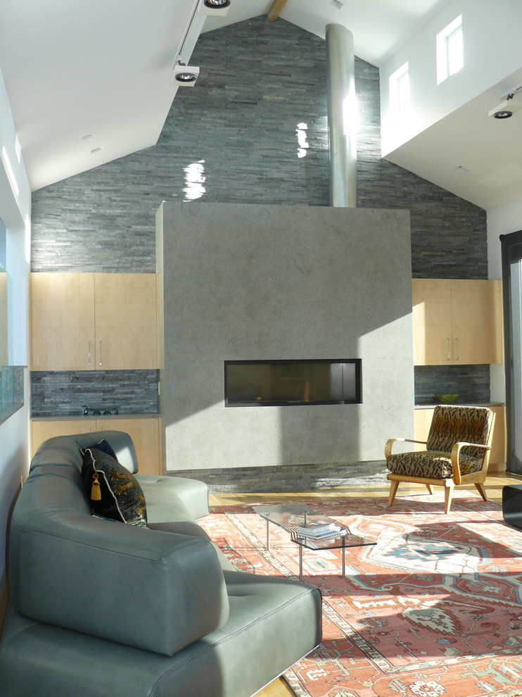 Ejemplo de salón actual con paredes grises, chimenea lineal y piedra