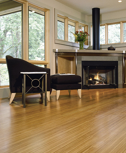 Living room - contemporary living room idea in Other