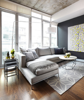 75 Contemporary Gray Living Room Ideas