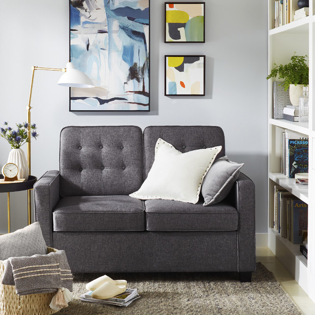 Cozy Guest Sleeper Sofa in Library Space Collection Modern Living