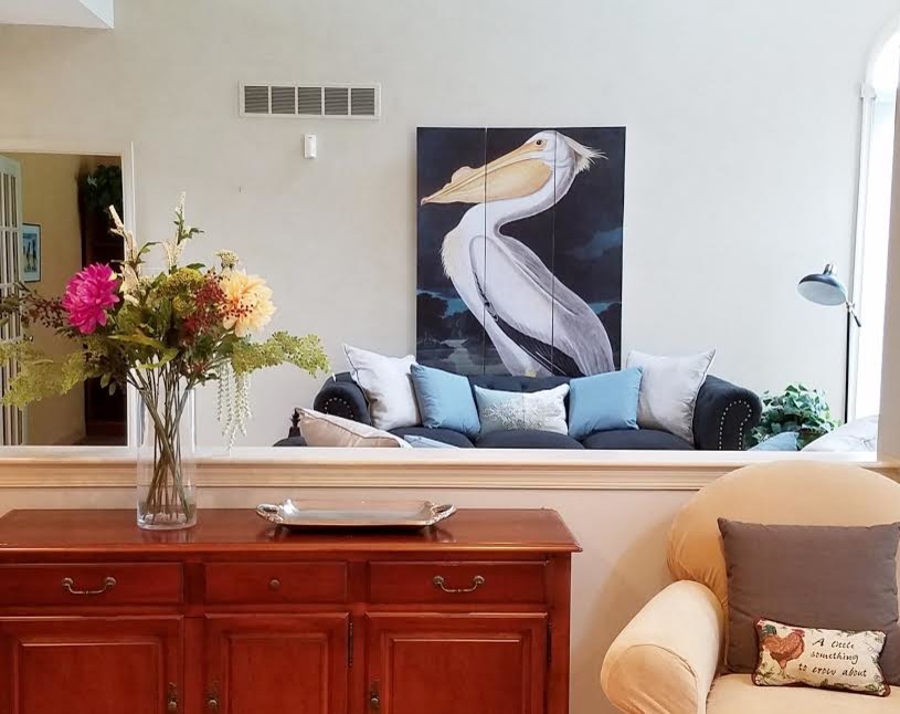 Creating a Sofa BackDrop Using a Room Divider Living Room New York