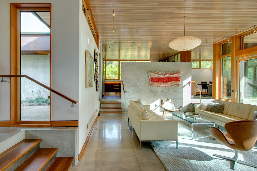 Свежая идея для дизайна: большая открытая гостиная комната в современном стиле с белыми стенами и бетонным полом - отличное фото интерьера