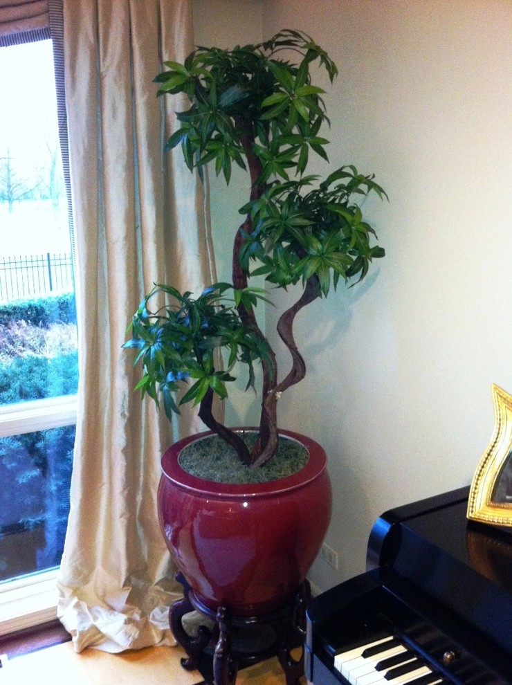 Custom Silk Trees Asian Living Room Chicago by The Silk Thumb