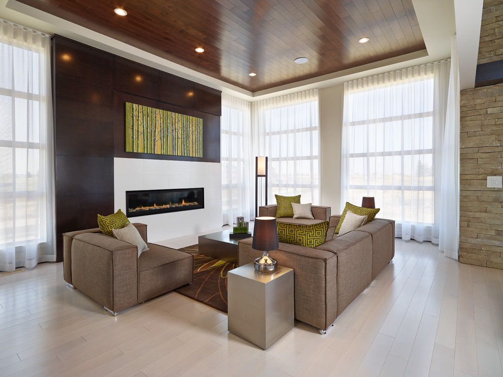 Living room - contemporary living room idea in Edmonton