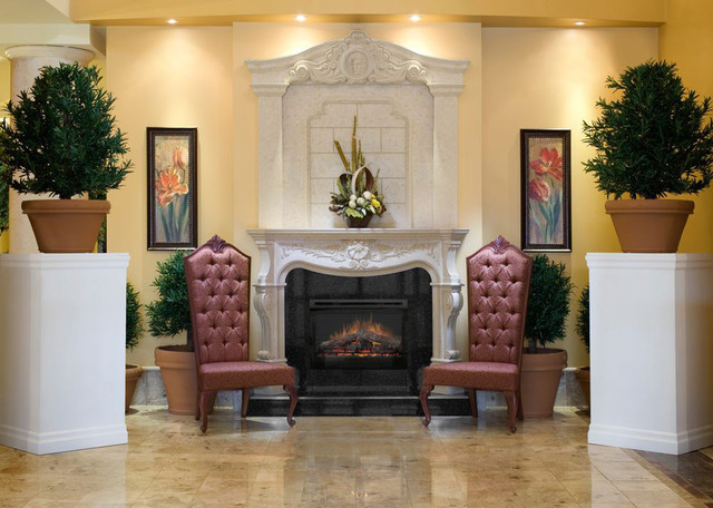 Dimplex Electric Fireplace Inserts Victorian Living Room Indianapolis By Modern Blaze Houzz Uk - Fireplace Inserts Indianapolis In Dimplex Electric Fireplace Inserts Victorian Living Room Indianapolis By Modern Blaze Houzz Uk - Fireplace Inserts Indianapolis In