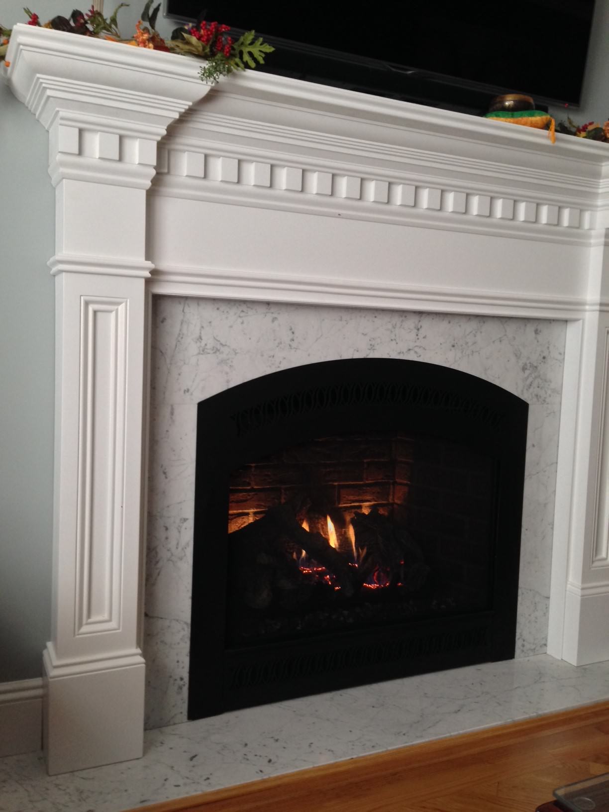 grate fireplace and outdoor living on Traditional Gas Fireplace Houzz