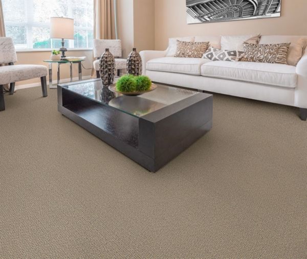 Dixie Living Room Inspiration Sterling Carpet And Flooring Img~6bd1b87a05f333e0 4 1888 1 71b3663 