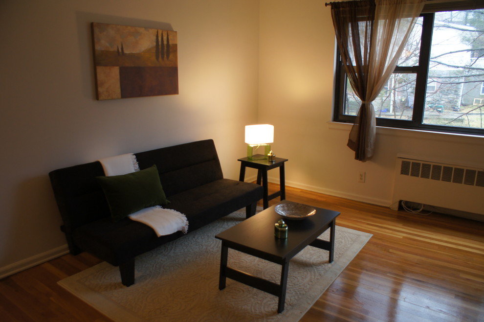 dobbs ferry coop vacant staging Traditional Living Room New York