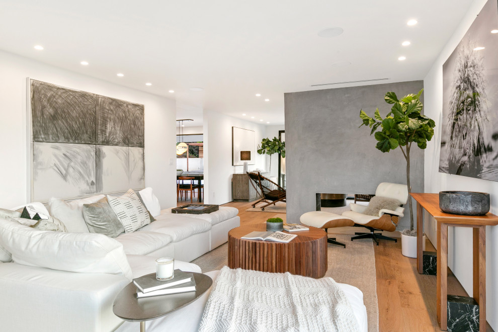 Cette photo montre un salon tendance avec un mur blanc, parquet clair, une cheminée double-face et un manteau de cheminée en plâtre.