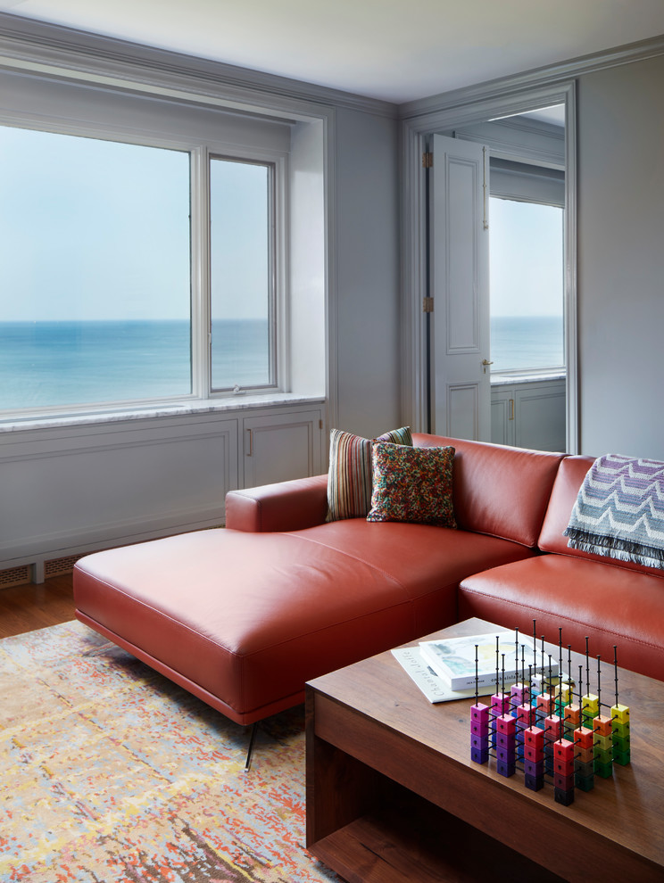 Drake Tower Apartment Transitional Living Room Chicago by