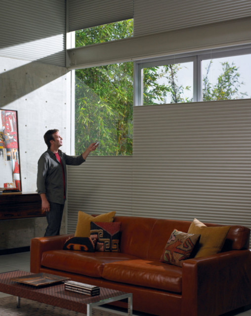 Duette Shades Eclectic Living Room Other by American