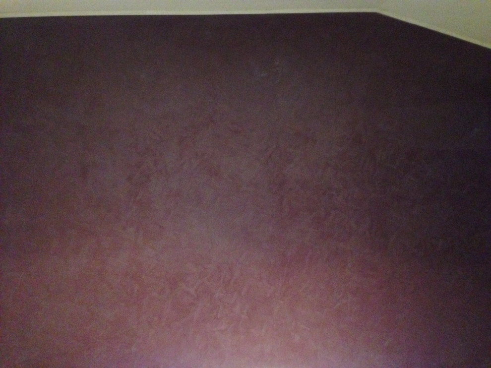 Dulux Design Suede Effect feature wall Modern Living Room Sydney