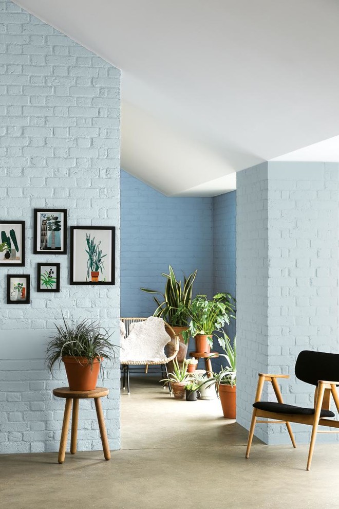 Стильный дизайн: открытая гостиная комната с синими стенами и полом из линолеума без камина, телевизора - последний тренд