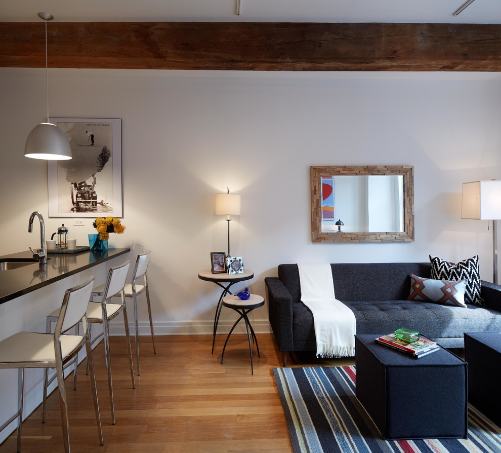 DUMBO Modern Interior Design - 1 Bedroom Apartment - Modern - Living ...
