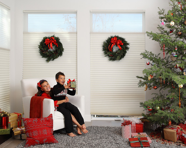 Duolite Duette Shades Modern Living Room Minneapolis