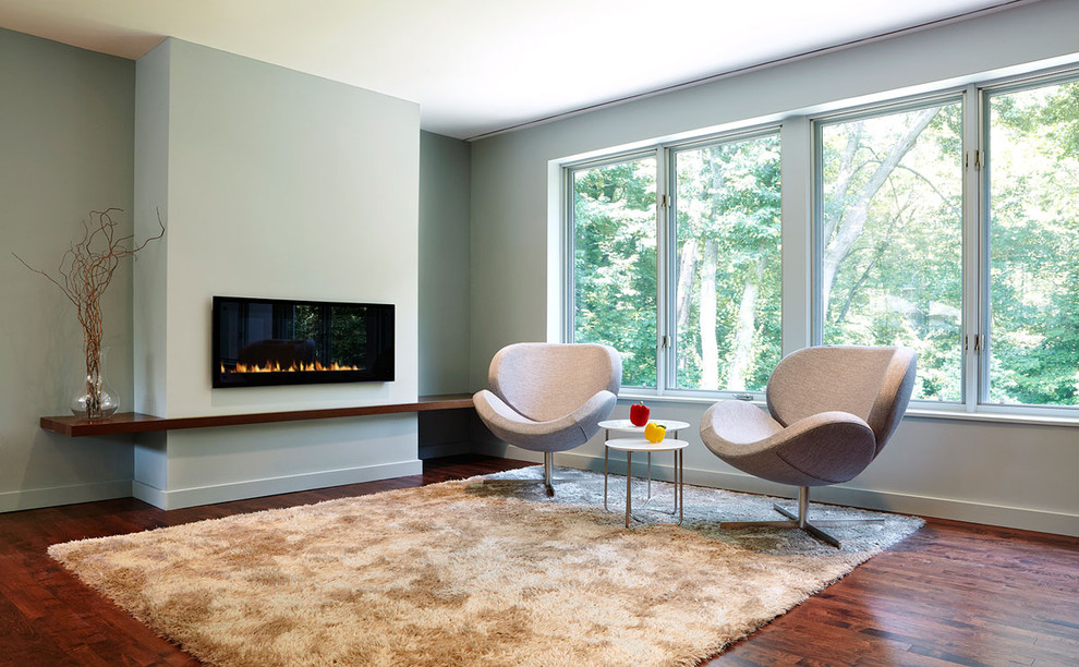 Пример оригинального дизайна: гостиная комната в современном стиле с серыми стенами и ковром на полу