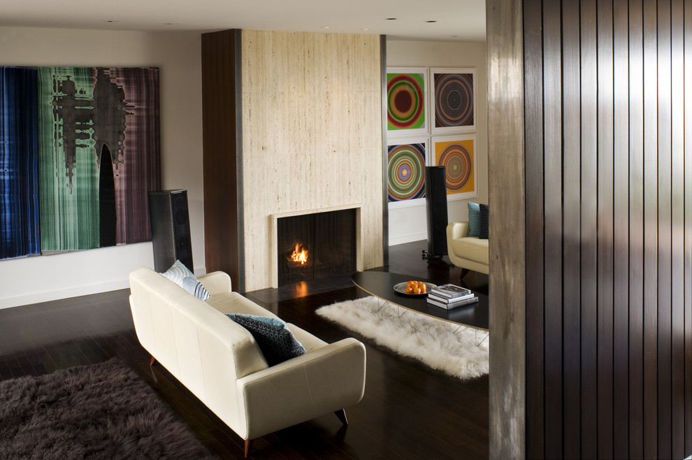 Modern living room in San Francisco with a standard fireplace.
