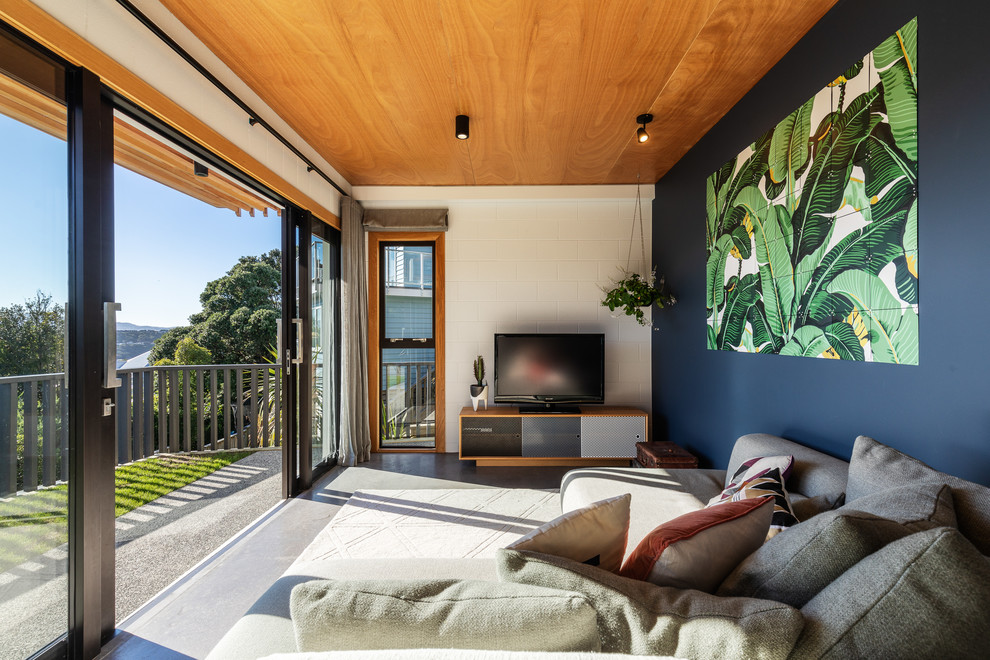 Modernes Wohnzimmer mit blauer Wandfarbe, Betonboden, freistehendem TV und grauem Boden in Wellington
