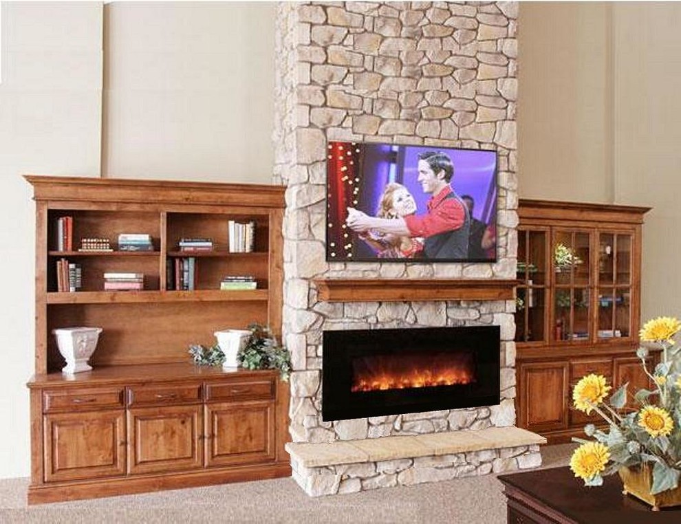 Electric Fireplace in a Traditional Living Room - Traditional - Living