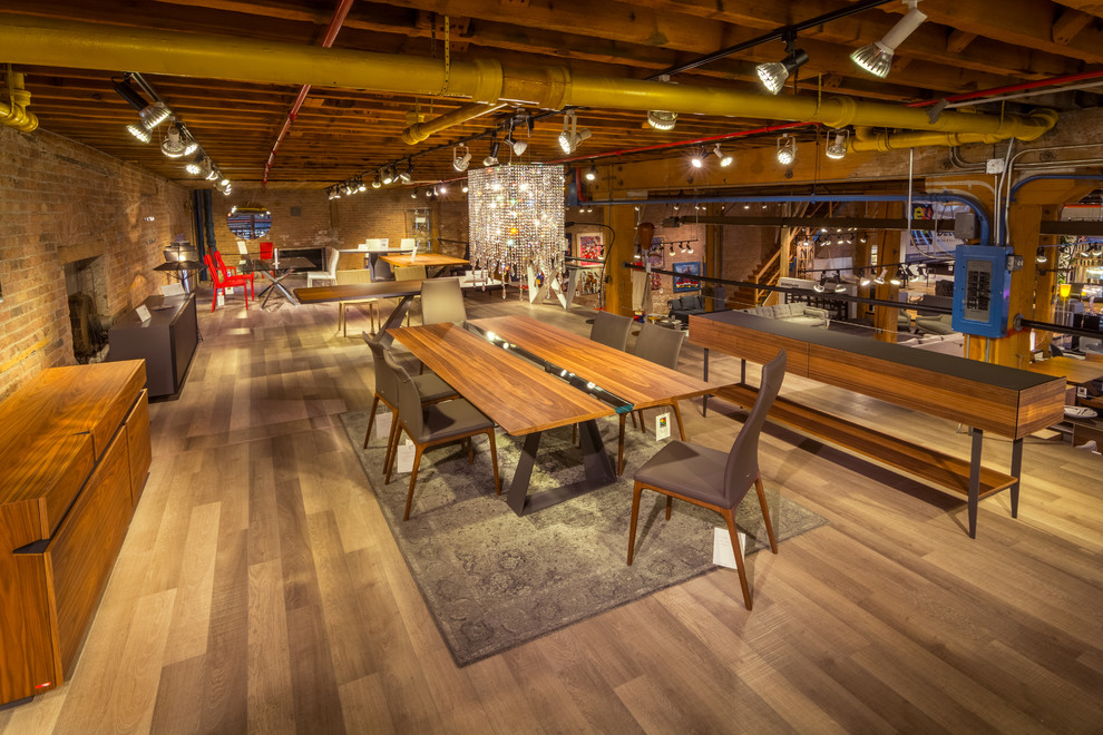 EuroFurniture Showroom Contemporary Living Room Chicago by