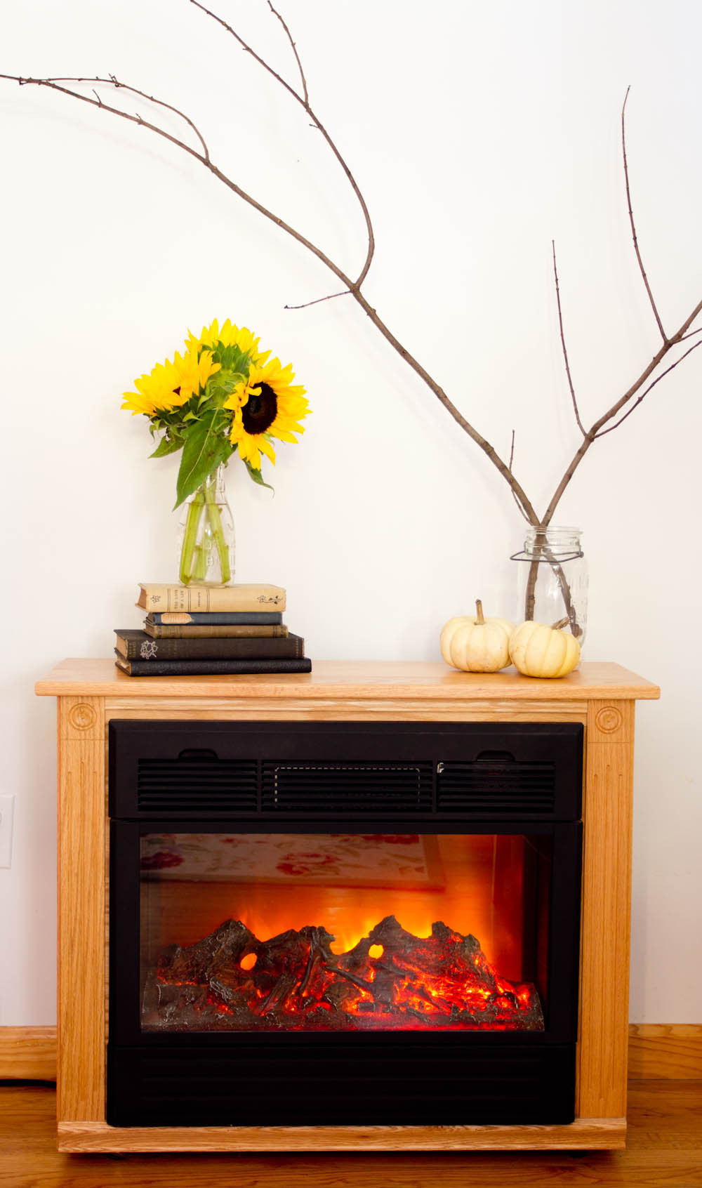 houzz electric fireplace on Electric Fireplace Ideas Houzz