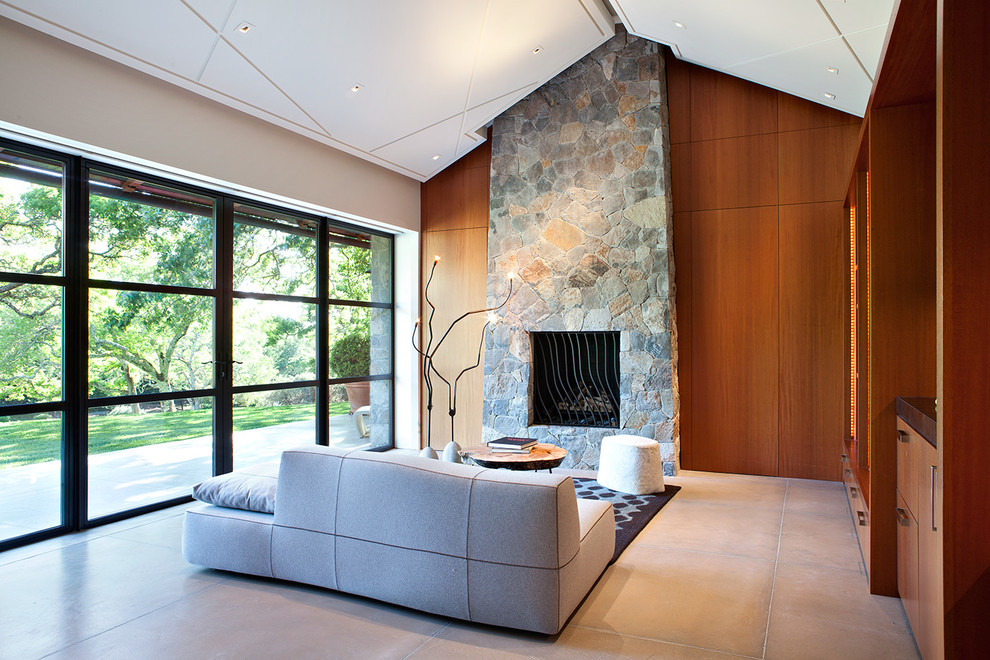 Esempio di un soggiorno minimal di medie dimensioni con pavimento in cemento, cornice del camino in pietra, angolo bar, pareti marroni, camino classico e tappeto