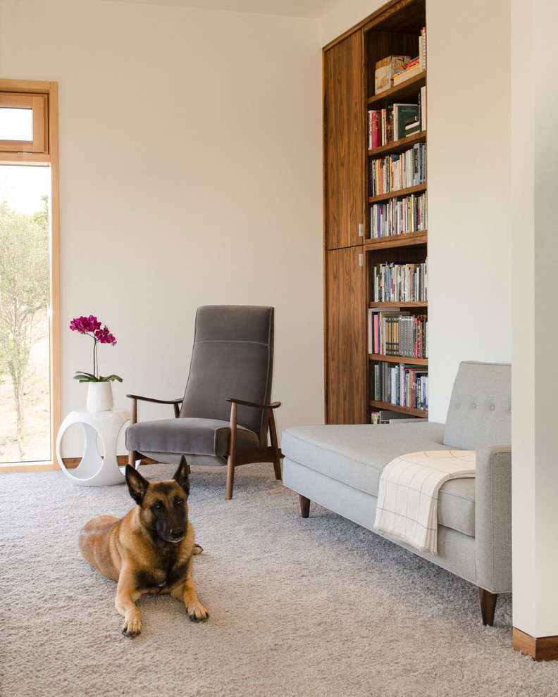 Источник вдохновения для домашнего уюта: гостиная комната в стиле ретро с с книжными шкафами и полками, белыми стенами и ковровым покрытием без камина