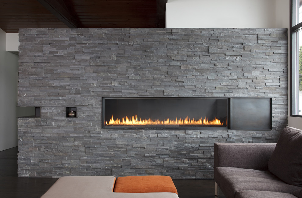 サンフランシスコにあるラグジュアリーなモダンスタイルのおしゃれなLDK (濃色無垢フローリング、横長型暖炉、石材の暖炉まわり、グレーの壁) の写真