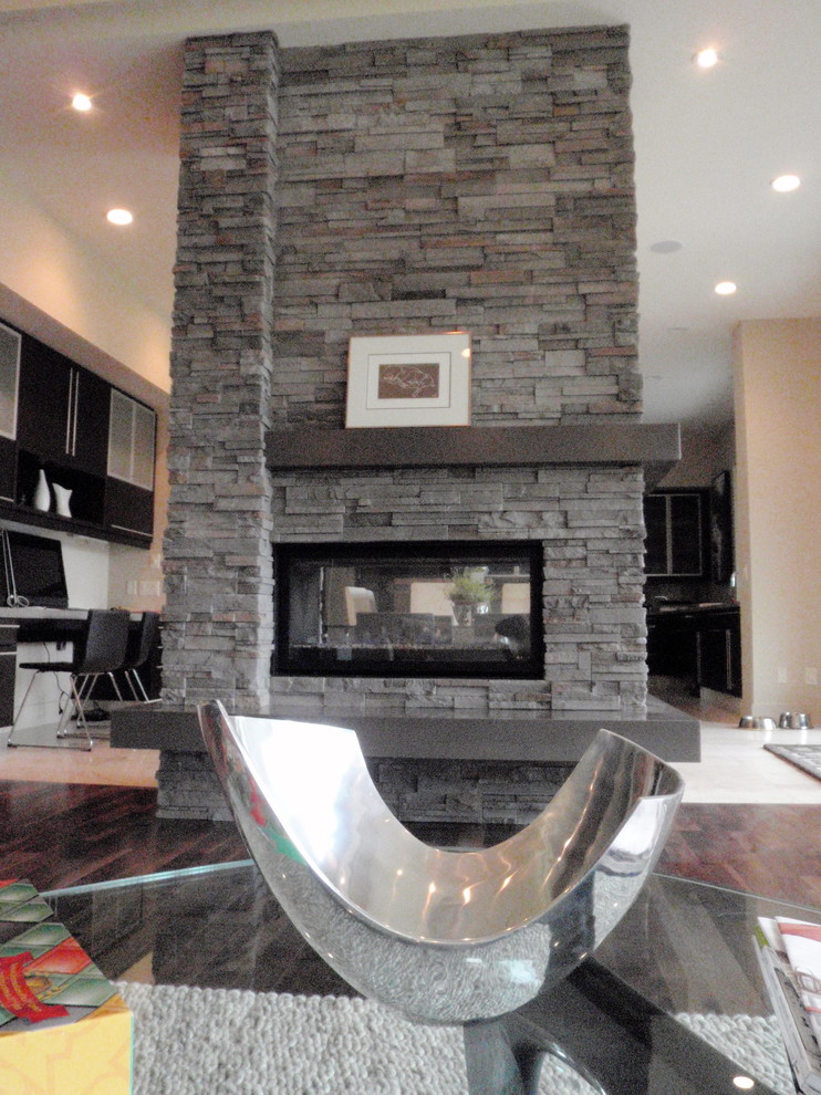Fireplaces Transitional Living Room Edmonton by Fiddlerock
