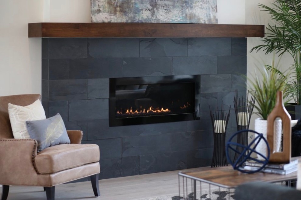 Fireplaces Modern Living Room Denver by MARGARITA BRAVO Houzz