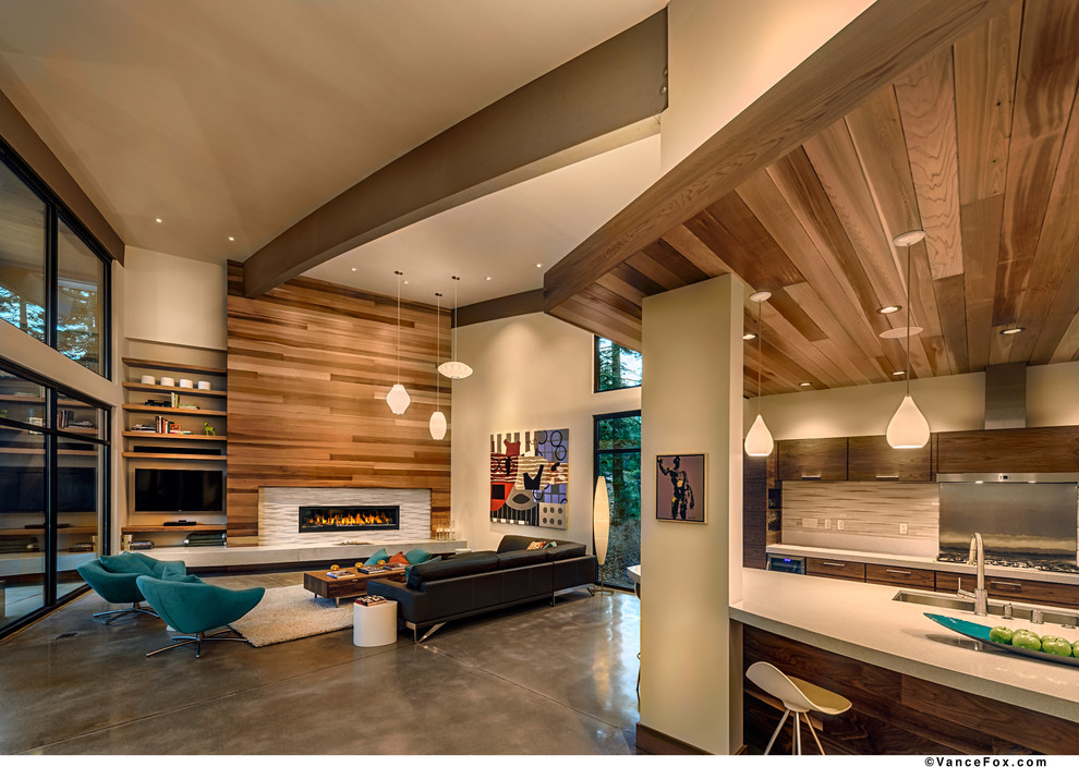 This is an example of a modern living room in Sacramento.