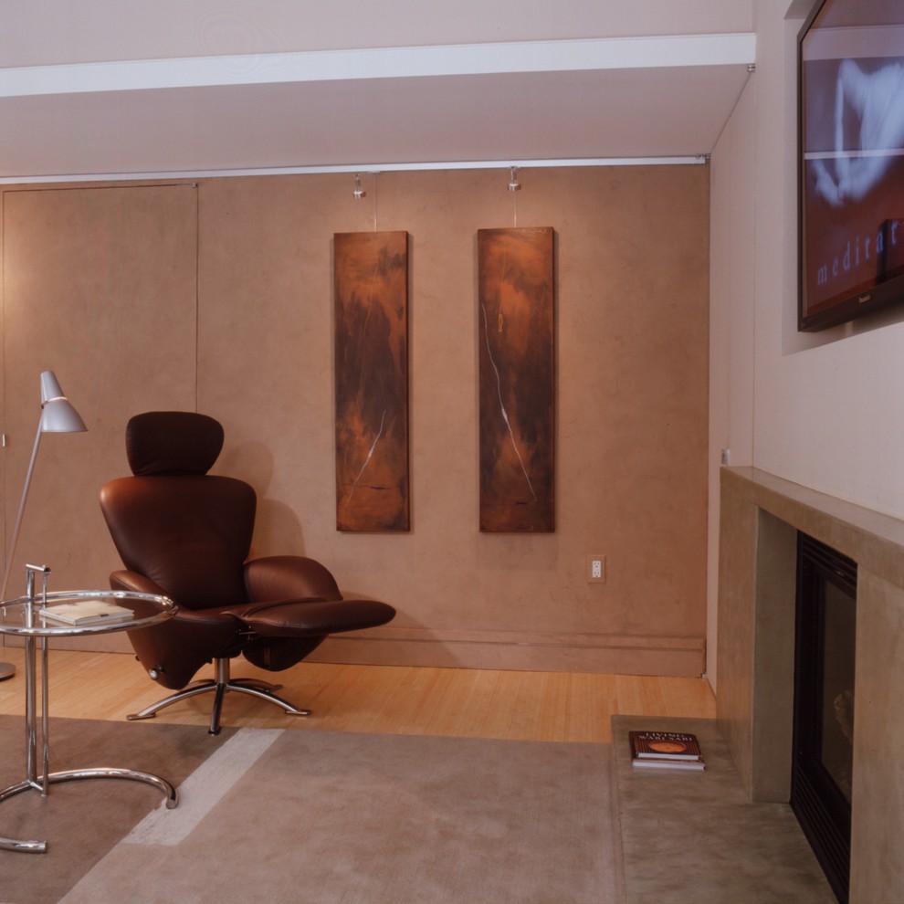 Living room - modern living room idea in DC Metro