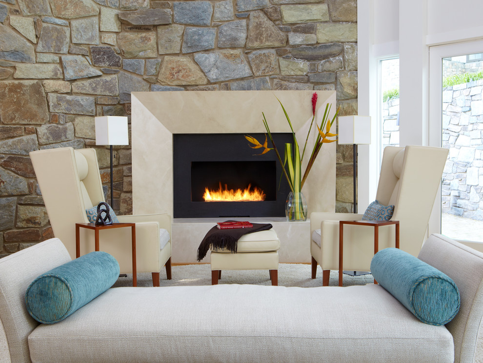 Design ideas for a contemporary living room in DC Metro with a ribbon fireplace and no tv.