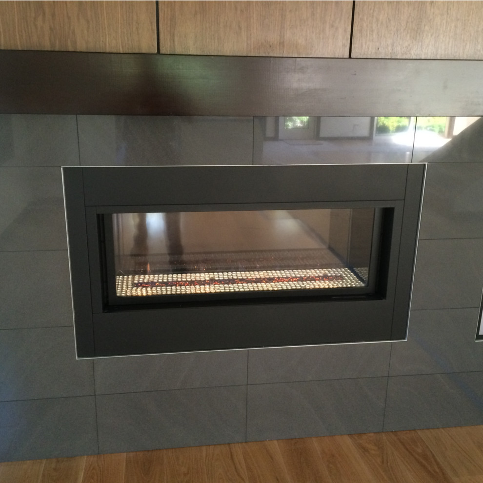 Gas and Electric Fireplace Inserts Contemporary Living Room