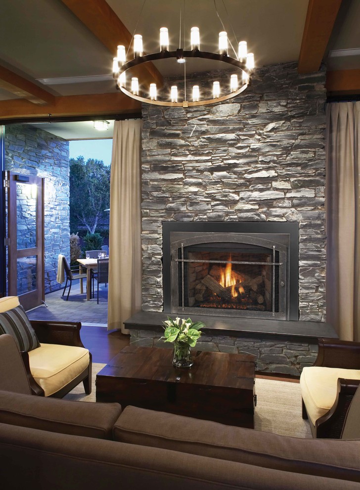 Gas Fireplace Inserts Traditional Living Room Denver by