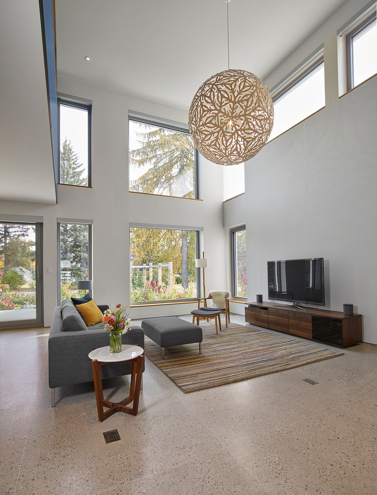 Esempio di un grande soggiorno moderno aperto con pareti bianche, pavimento in cemento e TV autoportante