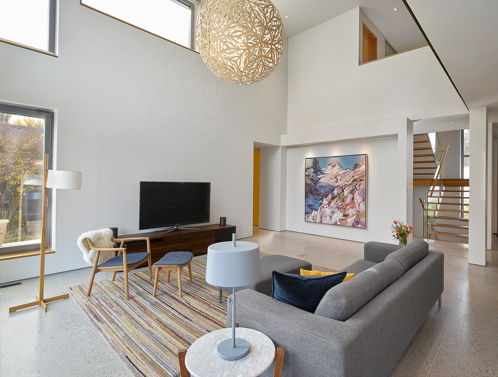 Ispirazione per un grande soggiorno moderno aperto con pareti bianche, pavimento in cemento e TV autoportante