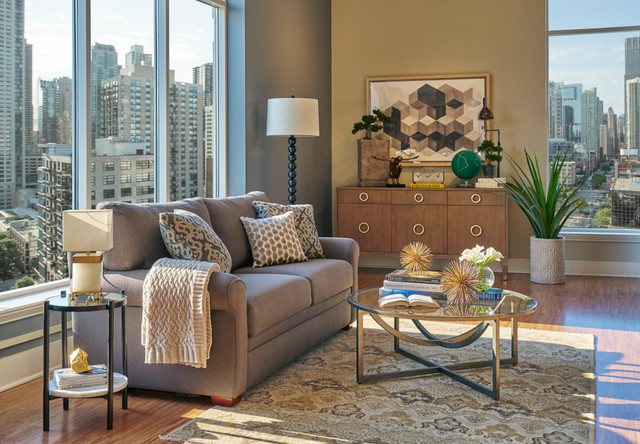 Gina Sleeper Sofa - Transitional - Living Room - Chicago - by Walter E ...