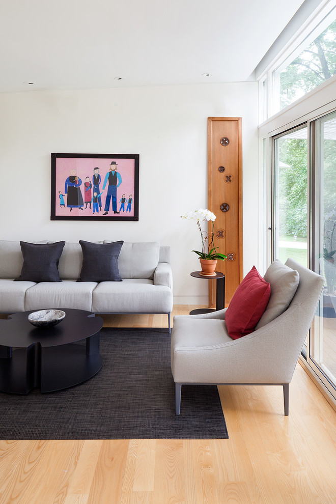 Design ideas for a midcentury living room in Philadelphia.