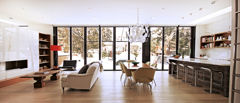 Living room - contemporary living room idea in Toronto