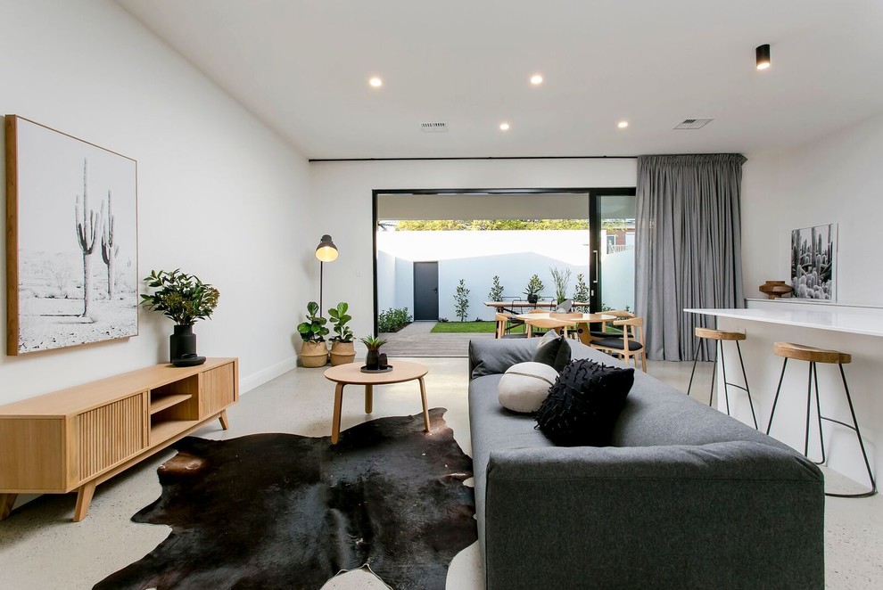 Design ideas for a medium sized contemporary open plan living room in Adelaide with white walls, concrete flooring, no fireplace and no tv.