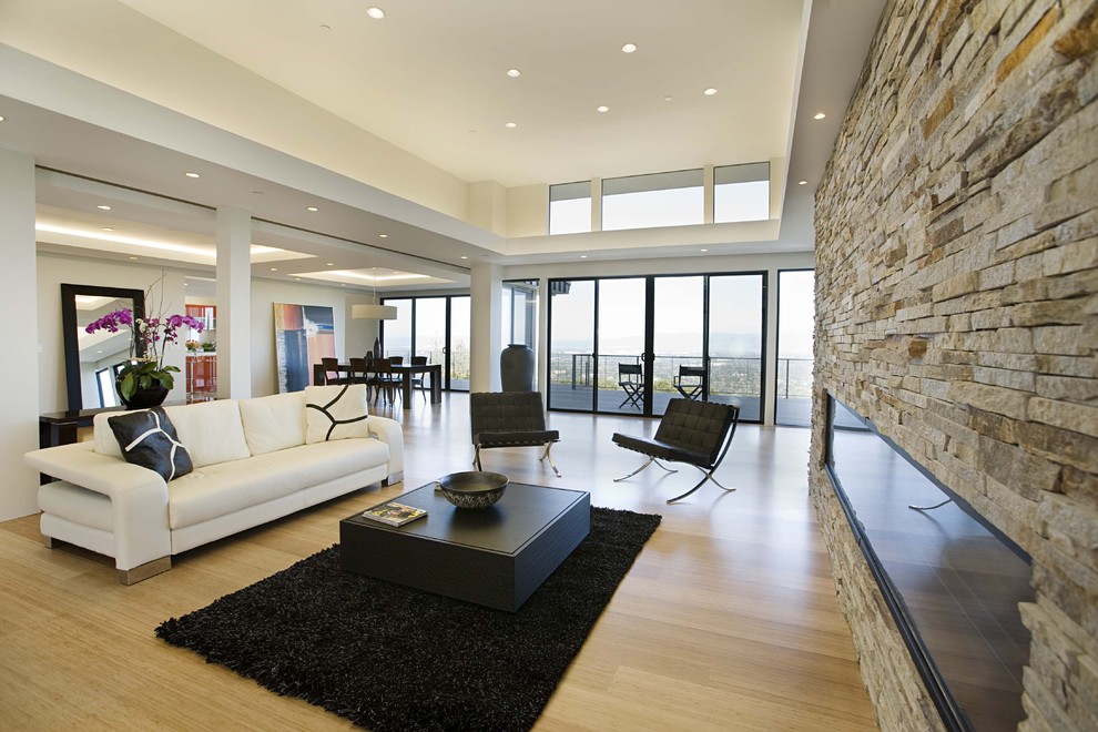 Example of a trendy bamboo floor living room design in San Francisco with a ribbon fireplace and a stone fireplace