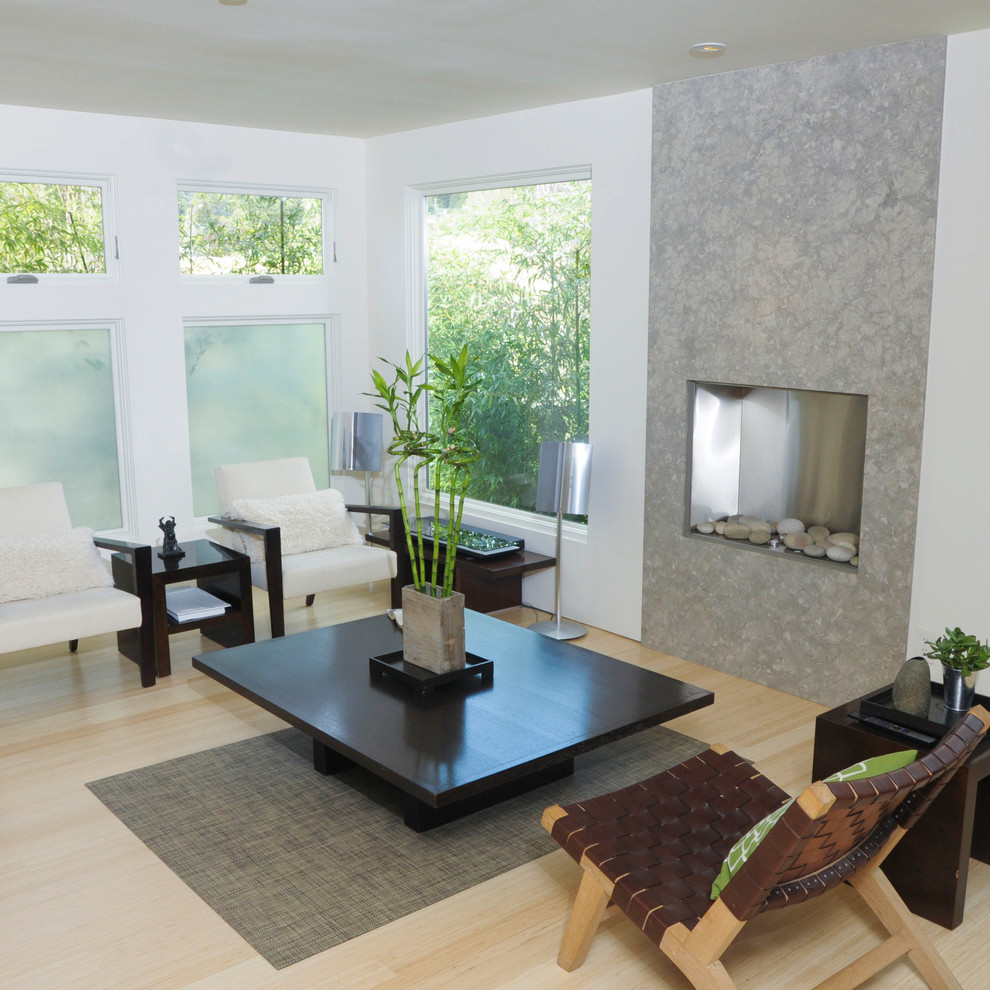 Modernes Wohnzimmer mit weißer Wandfarbe und hellem Holzboden in San Francisco