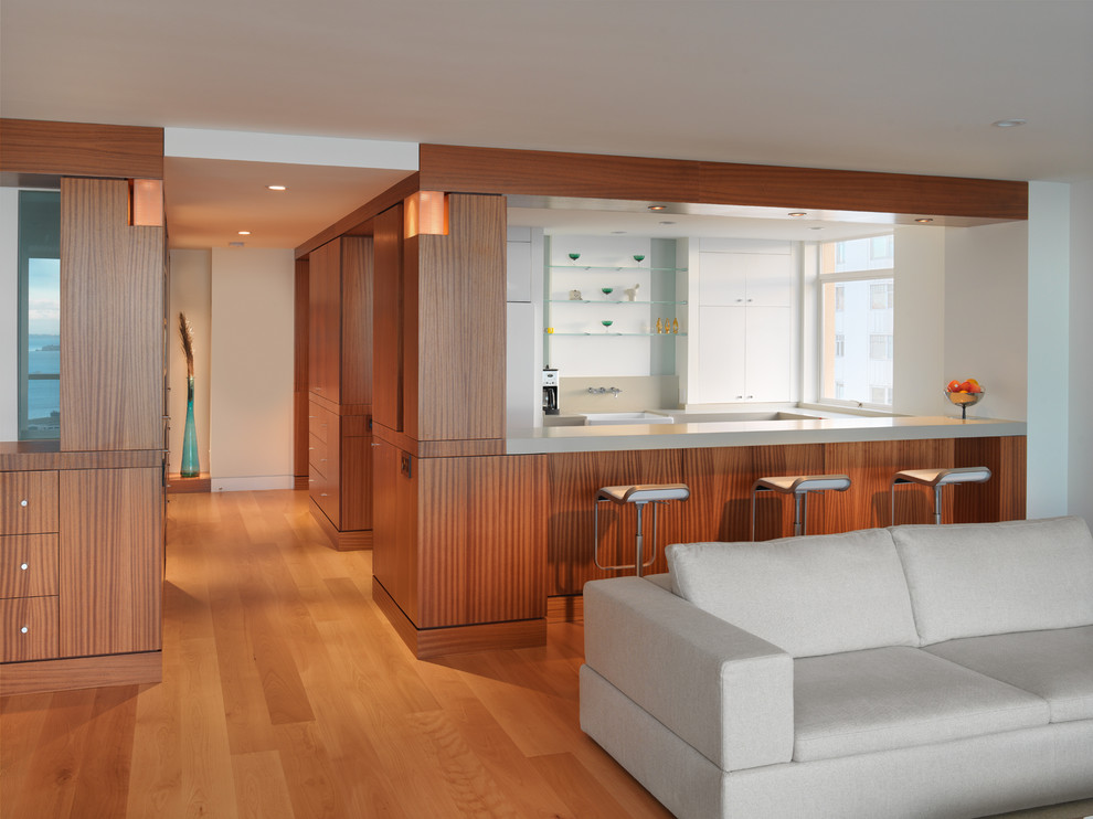 Modelo de salón para visitas abierto moderno de tamaño medio sin chimenea y televisor con paredes blancas, suelo de madera clara y suelo marrón