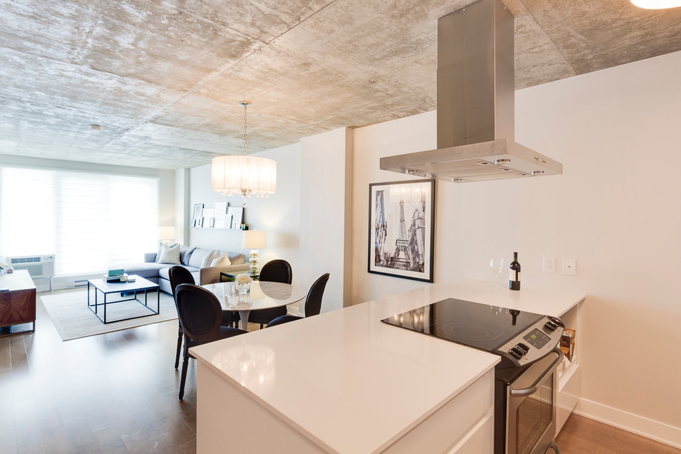 Kleines Modernes Wohnzimmer im Loft-Stil mit weißer Wandfarbe, hellem Holzboden und TV-Wand in Montreal