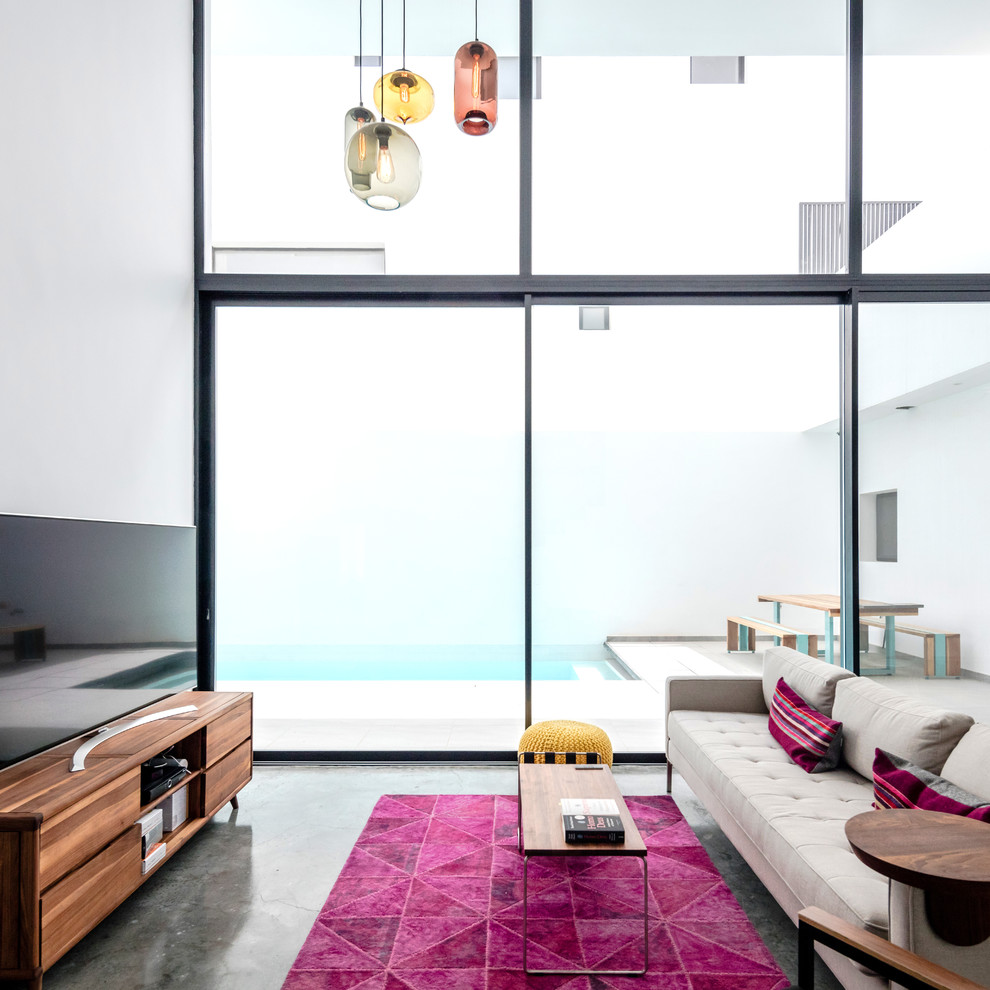 Esempio di un soggiorno moderno con sala formale, pareti bianche, pavimento in cemento, TV autoportante e pavimento grigio