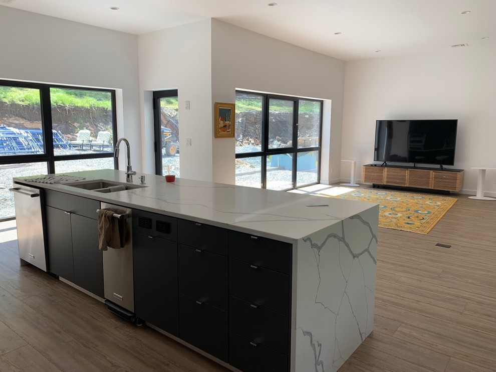 Hanover NH Modern Project Modern Living Room Burlington by Gilt