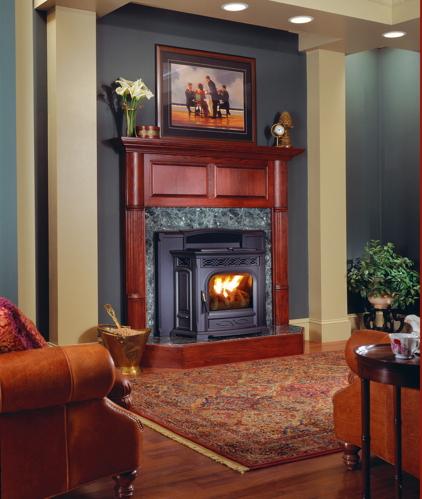Harman 52i Pellet Insert Traditional Living Room DC Metro by
