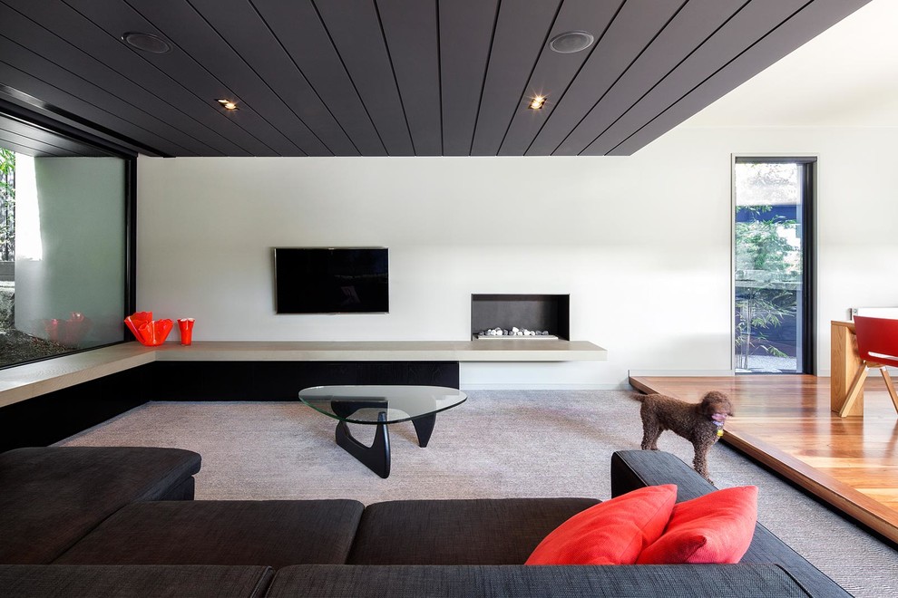 Großes, Repräsentatives Modernes Wohnzimmer mit weißer Wandfarbe, Teppichboden, Gaskamin, verputzter Kaminumrandung und TV-Wand in Melbourne